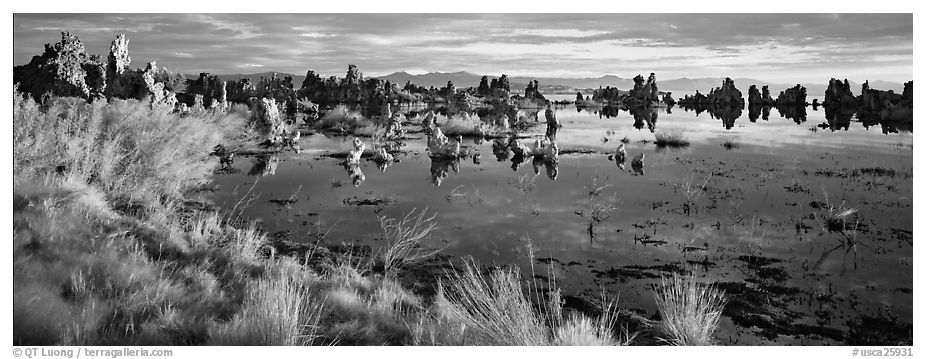 Mono Lake landscape. Mono Lake, California, USA (black and white)
