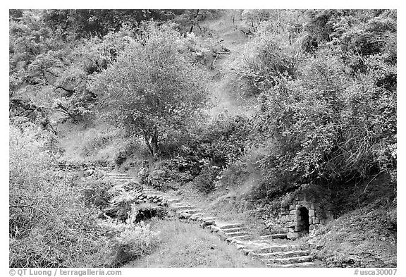 Pathway and stairs, Alum Rock Park. San Jose, California, USA (black and white)