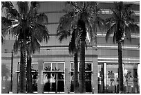 Palm trees reflected in building at sunset. San Jose, California, USA ( black and white)