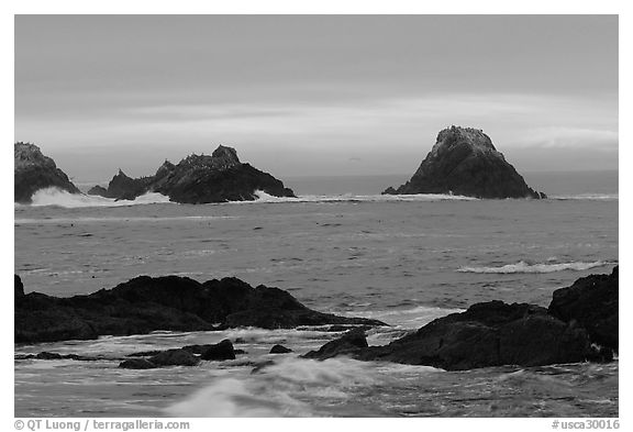 Seastacks at sunset. Point Lobos State Preserve, California, USA (black and white)