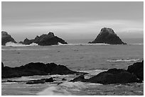 Seastacks at sunset. Point Lobos State Preserve, California, USA ( black and white)