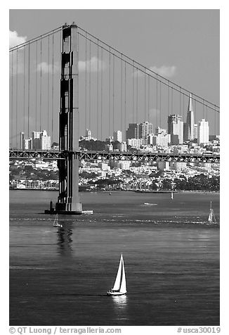 Sailboat, Golden Gate Bridge, and  city skyline, afternoon. San Francisco, California, USA
