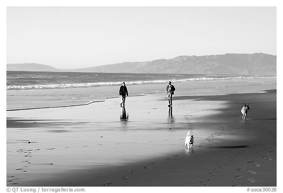 People and dogs strolling on beach near Fort Funston,  late afternoon, San Francisco. San Francisco, California, USA (black and white)
