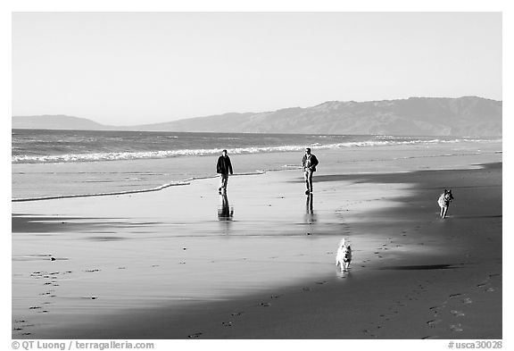 People and dogs strolling on beach near Fort Funston,  late afternoon, San Francisco. San Francisco, California, USA