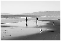 People and dogs strolling on beach near Fort Funston,  late afternoon, San Francisco. San Francisco, California, USA ( black and white)