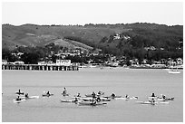 Sea kayakers, Pillar point harbor. Half Moon Bay, California, USA (black and white)