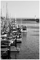 Harbor,  late afternoon. Santa Cruz, California, USA (black and white)