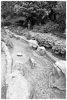 Stream, Japanese Friendship Garden. San Jose, California, USA (black and white)