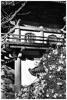 Entrance of Japanese Garden, Golden Gate Park. San Francisco, California, USA (black and white)