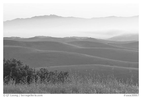 Rolling Hills  seen from Laguna Seca. California, USA (black and white)