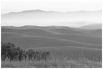 Pictures of Fort Ord National Monument