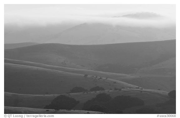 Rolling Hills and fog, sunrise, Fort Ord National Monument. California, USA