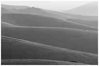 Ridglines, sunrise, Fort Ord National Monument. California, USA (black and white)