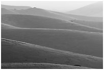 Ridglines, sunrise. California, USA ( black and white)