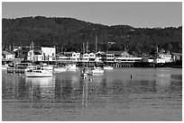 Monterey Harbor. Monterey, California, USA ( black and white)