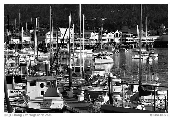 Boats and Fisherman's Wharf, afternoon, Monterey. Monterey, California, USA (black and white)