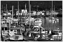 Boats and Fisherman's Wharf, afternoon, Monterey. Monterey, California, USA (black and white)