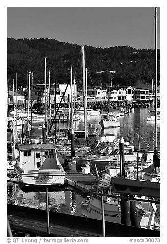 Boats and Fisherman's Wharf, afternoon. Monterey, California, USA (black and white)