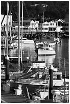 Boats and Fisherman's Wharf, afternoon, Monterey. Monterey, California, USA ( black and white)