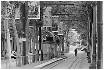 Downtown tree-lined street with tram lane. San Jose, California, USA (black and white)