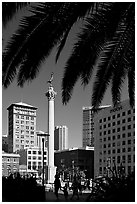 Union square and column framed by palm trees, afternoon. San Francisco, California, USA (black and white)