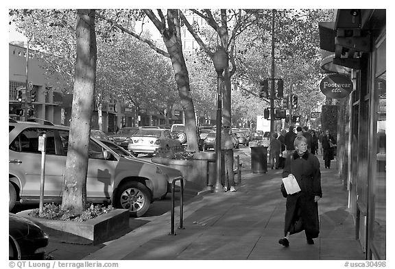 The main street of Palo Alto, University Avenue, in fall. Palo Alto,  California, USA (black and white)