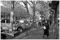 The main street of Palo Alto, University Avenue, in fall. Palo Alto,  California, USA ( black and white)