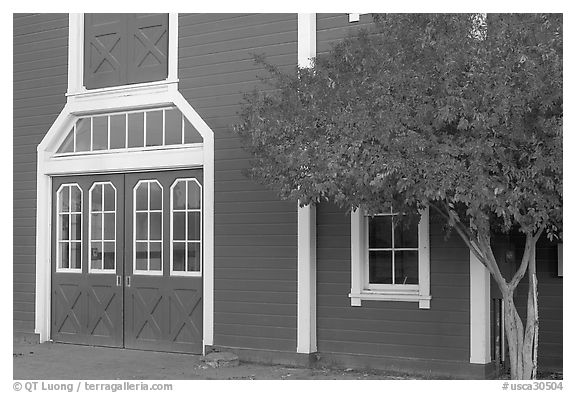 Door and tree in fall color, Red Barn. Stanford University, California, USA (black and white)