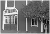 Door and tree in fall color, Red Barn. Stanford University, California, USA (black and white)