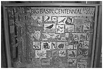 Quilt celebrating the centenial of the Park. Big Basin Redwoods State Park,  California, USA (black and white)