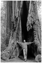 Visitor standing at the base of a hollowed-out redwood tree. Big Basin Redwoods State Park,  California, USA (black and white)