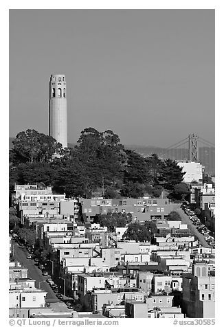Houses on  Telegraph Hill and Coit Tower, afternoon. San Francisco, California, USA (black and white)
