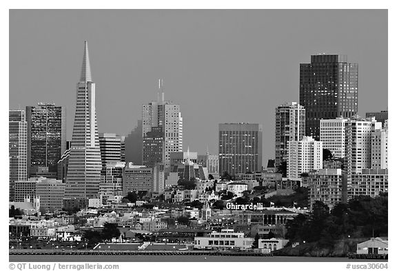 Skyline at dusk. San Francisco, California, USA (black and white)