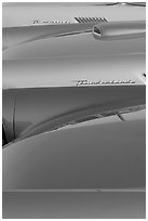 Thunderbird classic cars. Santa Cruz, California, USA (black and white)