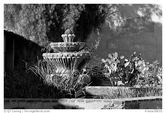 Fountain and cacti, Mission San Miguel Arcangel. California, USA