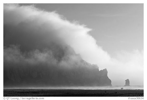 Morro Rock engulfed by afternoon fog. Morro Bay, USA