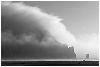 Morro Rock engulfed by afternoon fog. Morro Bay, USA (black and white)