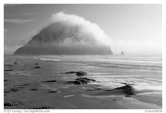 Beach with seaweed, and Morro Rock capped by afternoon fog. Morro Bay, USA (black and white)