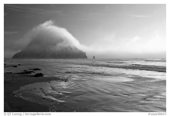 Morro Rock and fog reflected on beach. Morro Bay, USA