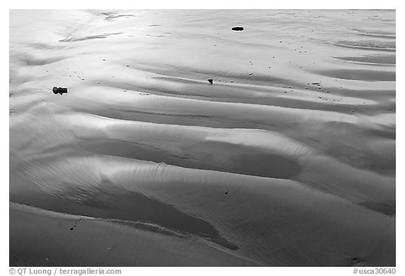 Ripples and wet sand on beach. Morro Bay, USA (black and white)