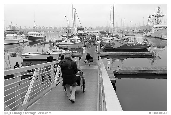 Harbor in morning fog. California, USA (black and white)