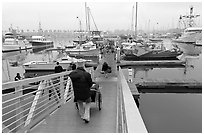 Harbor in morning fog. California, USA ( black and white)