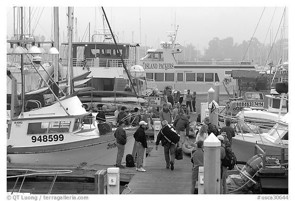 Island Packers pier in dawn fog. California, USA (black and white)