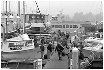 Island Packers pier in dawn fog. California, USA (black and white)