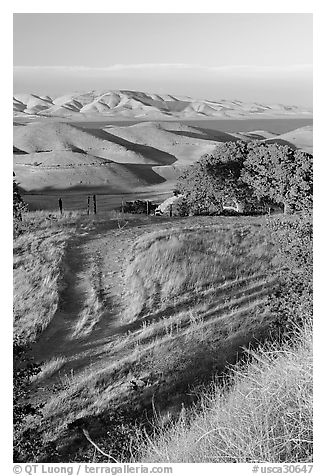 Golden hills and San Luis Reservoir. California, USA (black and white)
