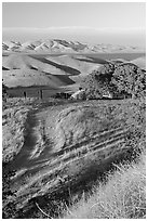 Golden hills and San Luis Reservoir. California, USA (black and white)