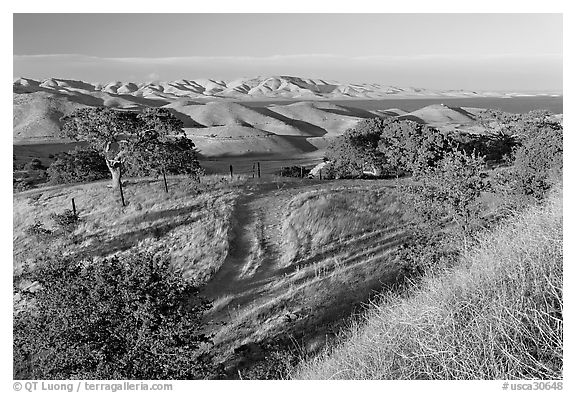 Rural path amongst oak and golden hills, San Luis Reservoir State Rec Area. California, USA