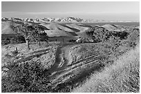 Rural path amongst oak and golden hills, San Luis Reservoir State Rec Area. California, USA (black and white)
