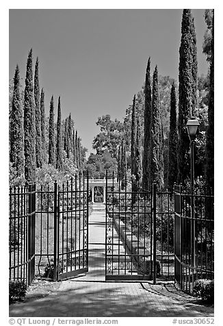 Gates in cypress trees in garden, Villa Montalvo. Saragota,  California, USA