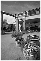 Menlo Center, afternoon. Menlo Park,  California, USA (black and white)